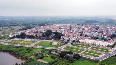 Hanoi richt 5 werkgroepen op om de gegevens van meer dan 4,1 miljoen percelen te standaardiseren.