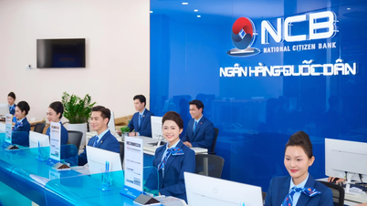 NCB Visa se enorgullece de ganar un premio internacional, reafirmando el carácter innovador de la banca vietnamita.