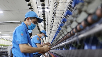 Die ausländischen Direktinvestitionen (FDI) in Vietnam erreichten in den ersten sechs Monaten des Jahres 2026 einen Rekordwert von über 34 Milliarden US-Dollar.