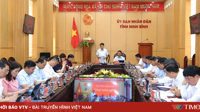 Ninh Binh: Mantener el impulso de crecimiento en el nuevo clima económico.