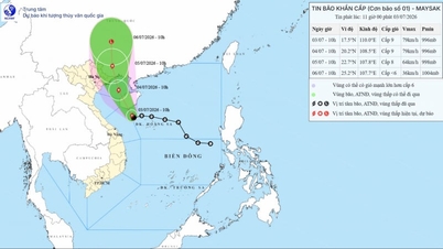 Últimas noticias sobre la tormenta: El tifón Mayak (tifón n.° 1) está a punto de tocar tierra; el Comité Directivo Nacional para la Defensa Civil ha emitido una directiva para responder de forma proactiva.