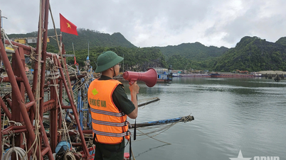 Les gardes-frontières de la ville de Hai Phong déploient en urgence des mesures pour répondre au typhon n° 1.