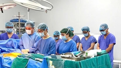 Organdonasjoner fra en mannlig medisinstudent har gitt tre pasienter med organsvikt et nytt liv.