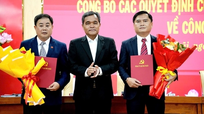 Quang Ngai oznámil rozhodnutí schválit personální obsazení inspekční komise provinčního stranického výboru.