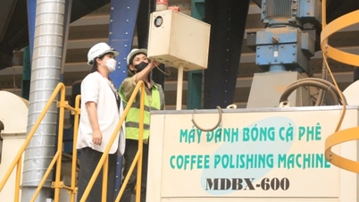 Gia Lai ดำเนินการตามมติที่ 68 ว่าด้วยเศรษฐกิจภาคเอกชนอย่างจริงจัง