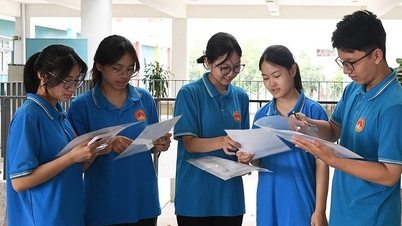 Tuyen Quang har 5 fag på avgangseksamenen fra videregående skole som er rangert blant de 10 beste landsdekkende.