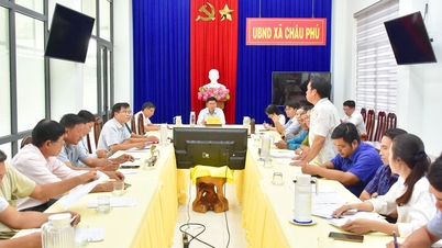 Nghiên cứu thí điểm vùng chuyên canh đậu nành rau, ớt chỉ thiên trên địa bàn xã Châu Phú