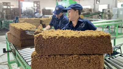 VRG đã tiêu thụ 10.000 tấn cao su thích ứng EUDR