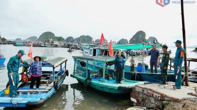 Quang Ninh wdraża kompleksowe środki reagowania na tajfun nr 1.