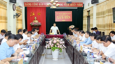 Durchführung der Rodungsarbeiten für das Straßenbauprojekt Hoa Lu-Nam Dinh, das die sozioökonomische Entwicklungsachse der Provinz Ninh Binh bilden soll.