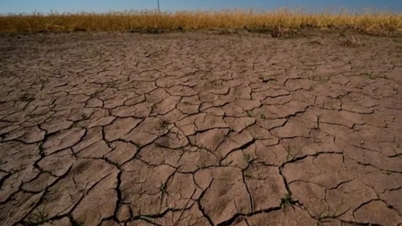 La Nouvelle-Zélande confirme un fort épisode El Niño : l'Asie entre dans une période de conditions météorologiques extrêmes.