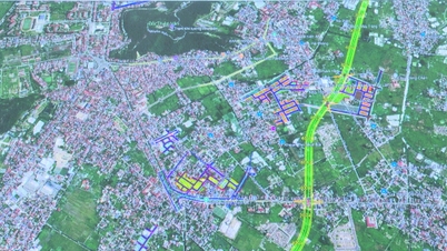 Districtul Phu Lien implementează defrișări de terenuri pentru 4 zone de relocare.