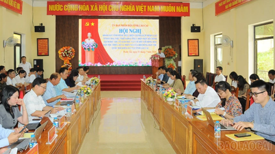 Survey on the implementation of education, health, and land policies for ethnic minorities in Lao Cai.