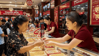 Prix ​​de l'or aujourd'hui, 3 juillet 2026 (or 9999), bagues en or BTMC, BTMC, prix de l'or DOJI pour vendredi : Cours de clôture de l'or 9999, des bagues en or BTMC et de l'or DOJI vendredi.