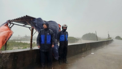 Tyfon Mayak (tyfon nr. 1) nærmer sig: Ninh Binh udarbejder planer for katastrofeforebyggelse og -kontrol.