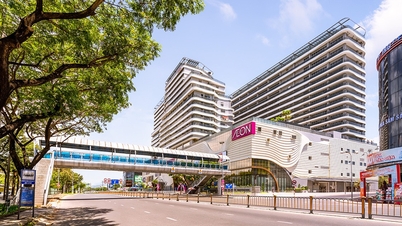 Long-established Japanese corporation operates its first supermarket in Da Nang.