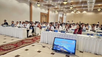 ការតភ្ជាប់ប្រព័ន្ធថែទាំសុខភាពបង្ការនៅតំបន់ដីសណ្តទន្លេមេគង្គ។