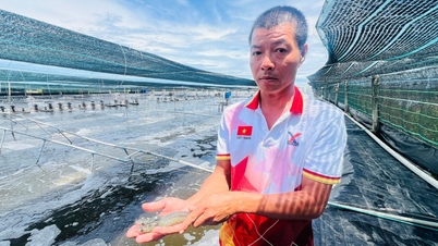 Ca Mau prioriterer utviklingen av integrert infrastruktur for å betjene rekeindustrien.