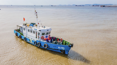 Mulai 1 September, kapal yang digunakan untuk keselamatan maritim harus dilengkapi dengan perangkat pemantauan.
