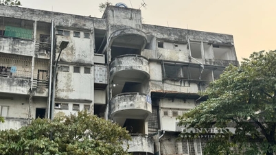Hanoi er i ferd med å gjenvinne 1,7 hektar land i Lang-distriktet, og «gjenopplive» gamle leilighetsbygg på det «førsteklasses området» Huynh Thuc Khang.