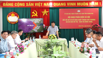 Commentaires sur la demande d'approbation du projet de zone urbaine et de services de Ninh Xuan.