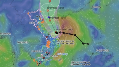 Typhoon Maysak caused very heavy rainfall in many provinces and cities, with some areas receiving over 500mm.