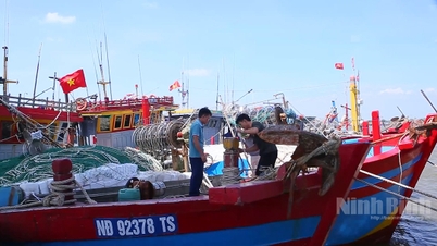 Als Reaktion auf den Taifun Nr. 1 verhängte die Provinz Ninh Binh am 3. Juli ein Verbot für alle Aktivitäten auf See vor 14 Uhr.