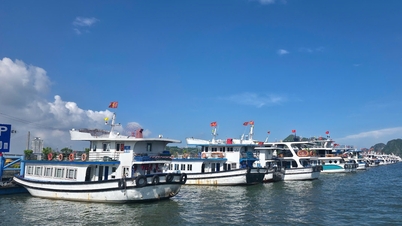 Quang Ninh reaguje na tajfun nr 1: Zapobieganie pasywnym i nieoczekiwanym sytuacjom.