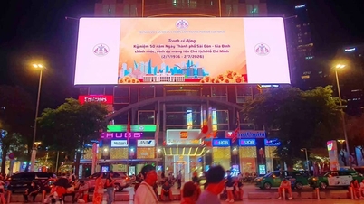 Dengan menarik investasi asing langsung (FDI) lebih dari 6,8 miliar dolar AS, Kota Ho Chi Minh mencapai tingkat pertumbuhan 8,55%.