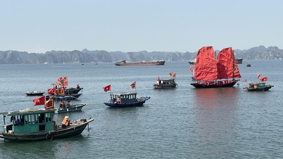 Quang Ninh: Temporarily suspending the issuance of permits for maritime activities.