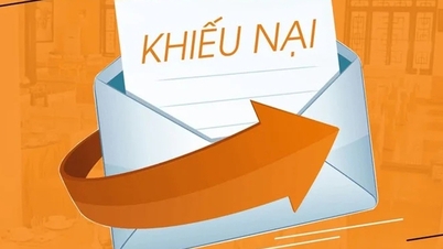 Giải quyết khiếu nại của Mouser Electronics, Inc. (Lần hai)