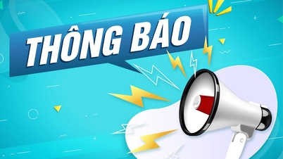 Về việc lựa chọn tổ chức hành nghề đấu giá tài sản(số dịch vụ giải đáp thông tin - số dịch vụ toàn quốc 1556)