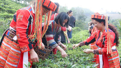 Lançamento do Projeto de Preservação e Promoção da Rica Identidade Cultural Tradicional dos Grupos Étnicos na Província de Tuyen Quang, em conjunto com o desenvolvimento do turismo.