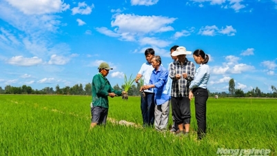 Statul asigură până la 100% din finanțare pentru informare și comunicare în domeniul extinderii agricole.