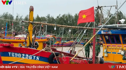 Tifón nº 1: Hung Yen, Quang Ninh y Ninh Binh prohíben simultáneamente los viajes por mar.