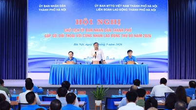734/734 đơn vị tổ chức hội nghị cán bộ, công chức, viên chức, người lao động