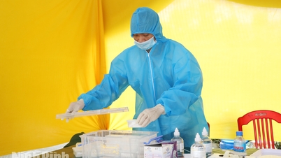 닌빈: 전사한 군인들의 유해에서 채취한 2,100개 이상의 생체 샘플이 DNA 검사를 위해 인계되었습니다.