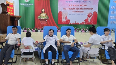 Nghe An s'efforce de garantir l'approvisionnement en sang pour les traitements malgré la pénurie extrême.