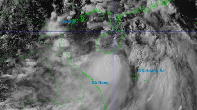টাইফুন নং ১ কোয়াং নিন-এ আঘাত হানতে পারে, যার ফলে উত্তরাঞ্চলে ভারী বৃষ্টির সতর্কতা স্তর বৃদ্ধি পাবে।