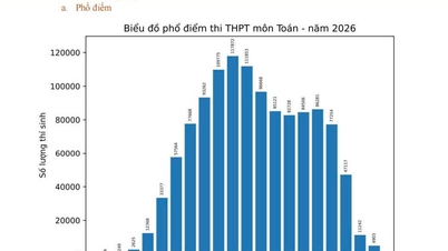 Полиция провинции Туен Куанг проверяет и подтверждает информацию, касающуюся результатов выпускных экзаменов по математике в средней школе за 2026 год.