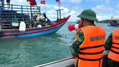 En réponse au typhon Mayak (typhon n° 1) : Quang Ninh et Hung Yen interdisent la navigation maritime ; Ninh Binh émet une directive urgente.