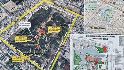Neue Informationen bezüglich der Suche und Identifizierung des Massengrabs von Märtyrern im Le Thi Rieng Park.