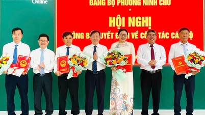 Distrik Ninh Chử mengumumkan keputusan terkait masalah kepegawaian.
