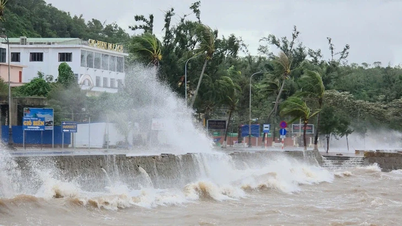 Hai Phong melarang perjalanan laut mulai jam 4 petang, 3 Julai.