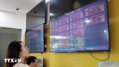 Bourse du 3 juillet : l'indice VN recule après un rebond, les actions PNJ chutent à leur plus bas niveau.
