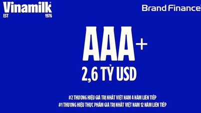 Η Vinamilk διατηρεί τη θέση της ως μία από τις 2 πιο πολύτιμες μάρκες στο Βιετνάμ για 4 συνεχόμενα χρόνια.