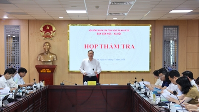 Ban Văn hóa - Xã hội, HĐND tỉnh thẩm tra các dự thảo Nghị quyết trình kỳ họp thường lệ giữa năm 2026