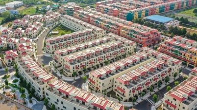 تجذب إحدى المقاطعات في دلتا نهر ميكونغ، والتي "تحدها الأنهار من ثلاث جهات وتطل على البحر من جهة واحدة"، انتباه العديد من المستثمرين الكبار.