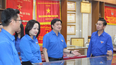 Mladí lidé z Ninh Binh a Da Nang si vyměňují zkušenosti a učí se z modelu „Ty a já se vybavíme umělou inteligencí“.
