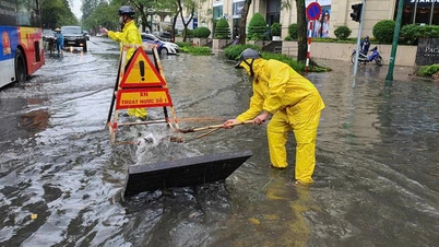 Hanoi akan menerima pakai model "bandar span" untuk menangani banjir.